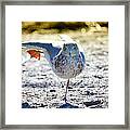 Stretch It Out #1 Framed Print