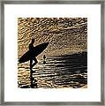 Surfer Bird #1 Framed Print