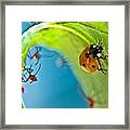 Surrounded #1 Framed Print