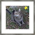 Take The Picture #1 Framed Print