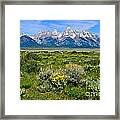 Teton Peaks And Flowers #1 Framed Print