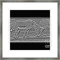 Transparent Zebra's #1 Framed Print