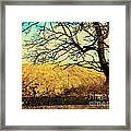 Tree By The Fence #1 Framed Print