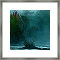 Tree In Fog #1 Framed Print