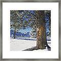 Winter In Yellowstone National Park #1 Framed Print