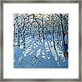 Winter Woodland Near Newhaven Derbyshire Framed Print