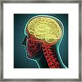 Human Brain, Artwork #11 Framed Print