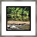#iphoneonly #iphonesia #photooftheday #11 Framed Print