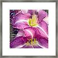 A #beautiful Day For #plants In The #19 Framed Print