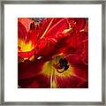 Another #beautiful Day For #plants In #2 Framed Print