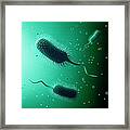 Bacteria, Artwork #2 Framed Print