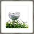 Golfball #2 Framed Print