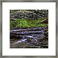 Lost Girl Creek #2 Framed Print