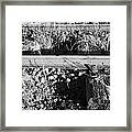Old Abandoned Great Southern And Western Railway Line Connected To Worn Wooden Sleepers #2 Framed Print