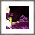 Orchid Flower Bloom #2 Framed Print