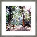 Walk In The Park #2 Framed Print