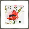 Watercolor Poppy Flower  #2 Framed Print