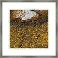 Yellowstone Color #2 Framed Print