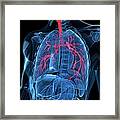 Human Lungs, Artwork #21 Framed Print