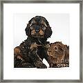 Puppy And Guinea Pig #22 Framed Print