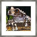 Crowned Tree Frog #3 Framed Print