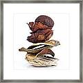 Dried Pieces Of Vegetables.  #3 Framed Print