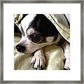 Image Created With #snapseed #dog #3 Framed Print