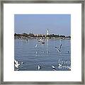 Lagoon. Venice #3 Framed Print