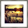 🌾 #30 Framed Print