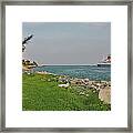 31- Vicarious Cruise Framed Print