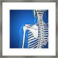 Upper Body Bones, Artwork #38 Framed Print