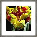 Opening Soon #5 Framed Print