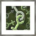 Sexually Transmitted Infection, Artwork #4 Framed Print