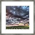 Newly Planted Crop #6 Framed Print