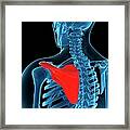 Shoulder Blade, Artwork #6 Framed Print