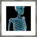 Skeleton, Artwork #6 Framed Print