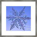 Snowflake #60 Framed Print