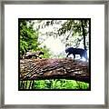 Instagram Photo #661346665232 Framed Print