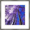 Epping Forest Trees #8 Framed Print