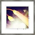 Instagram Photo #821343864650 Framed Print