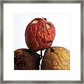 Apples #9 Framed Print