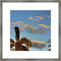 9- Tropical Sky Framed Print