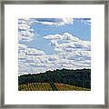 A Beautiful Day Framed Print
