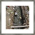 A Dirty Drain With Filth All Around It Representing A Health Risk Framed Print