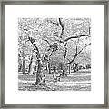 A Fall Day In Black And White Framed Print