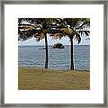 A Good Resting Place Framed Print