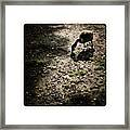 A Goose A Grazing Framed Print