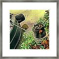 A Mooring Pole Framed Print