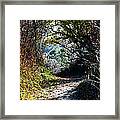 A Path To The Ocean Framed Print