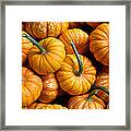 A Peck Of Pumpkins Framed Print